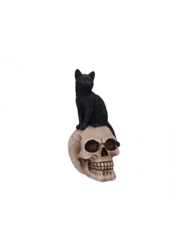 Gatto Nero - Alator Giftware - Familiar Fate - Nemesis Now