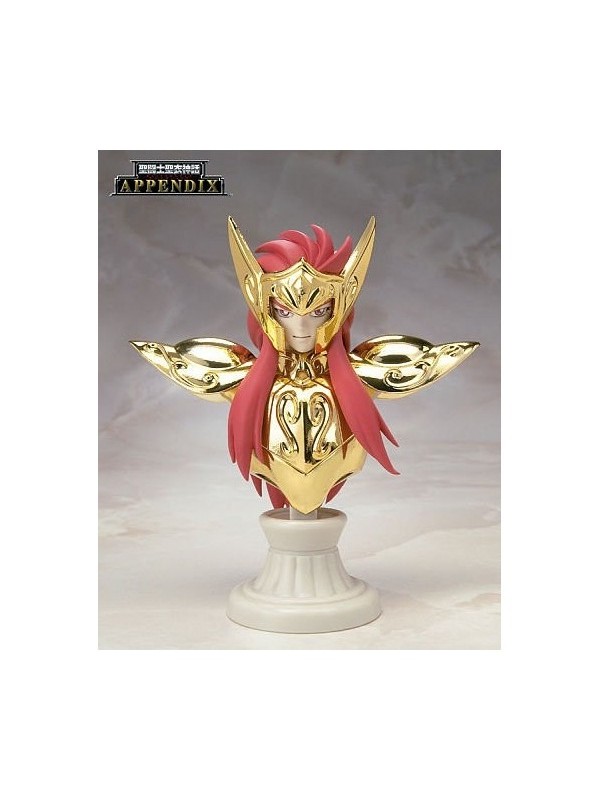 Tamashii Nation Nation 2010 Appendix Aquarius Original Color Edition - SAINT SEIYA