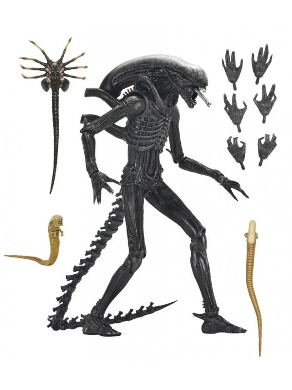 Alien Romulus - Xenomorph XX121 - Ultimate AF - NECA