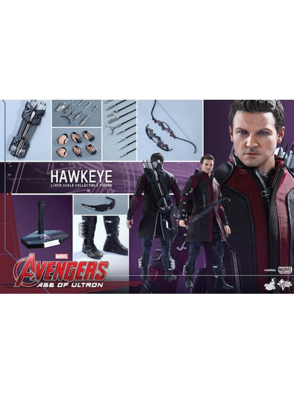 Hawkeye (Occhio di Falco) - AVENGERS Age of Ultron - HOT TOYS MMS 289 - 1/6th Scale collectible figure